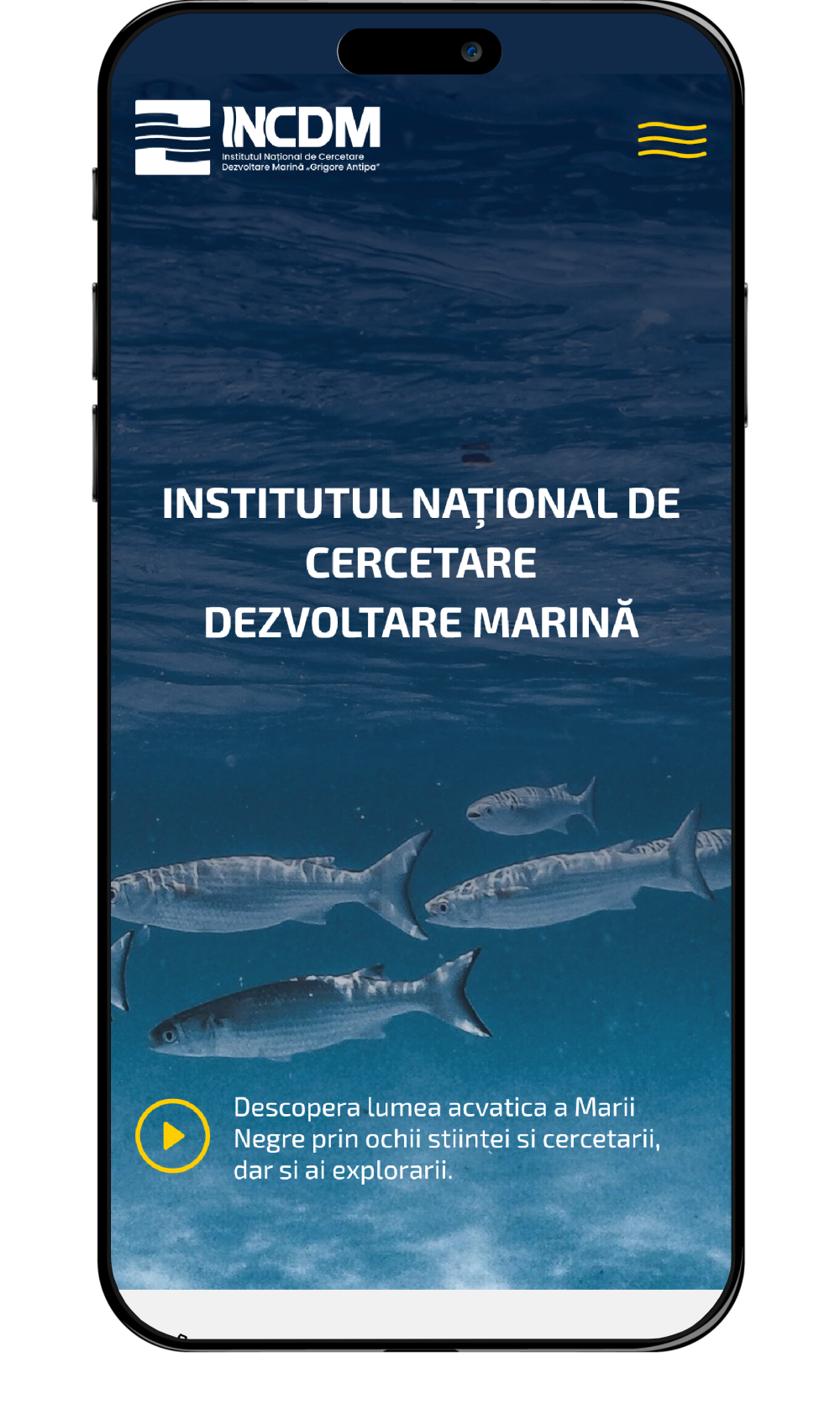 Institutul de cercetare marină "Grigore Antipa"