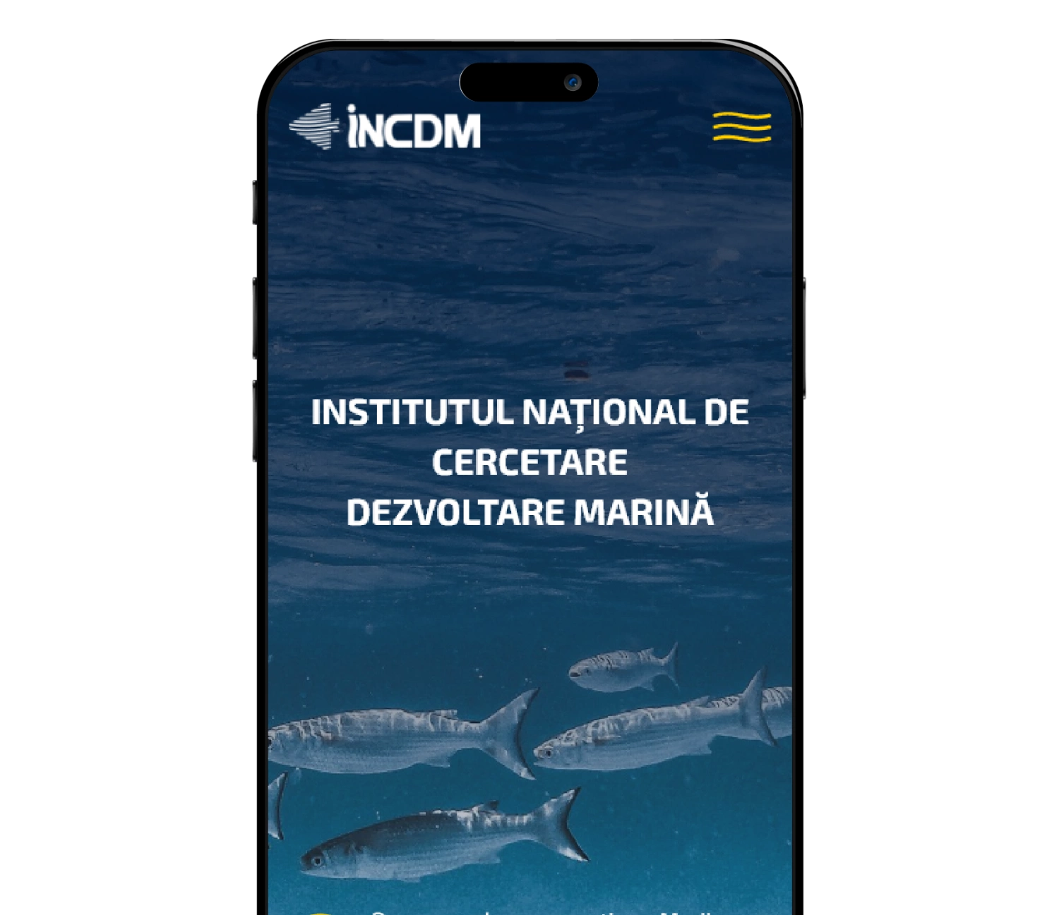 Cercetare si Dezvoltare